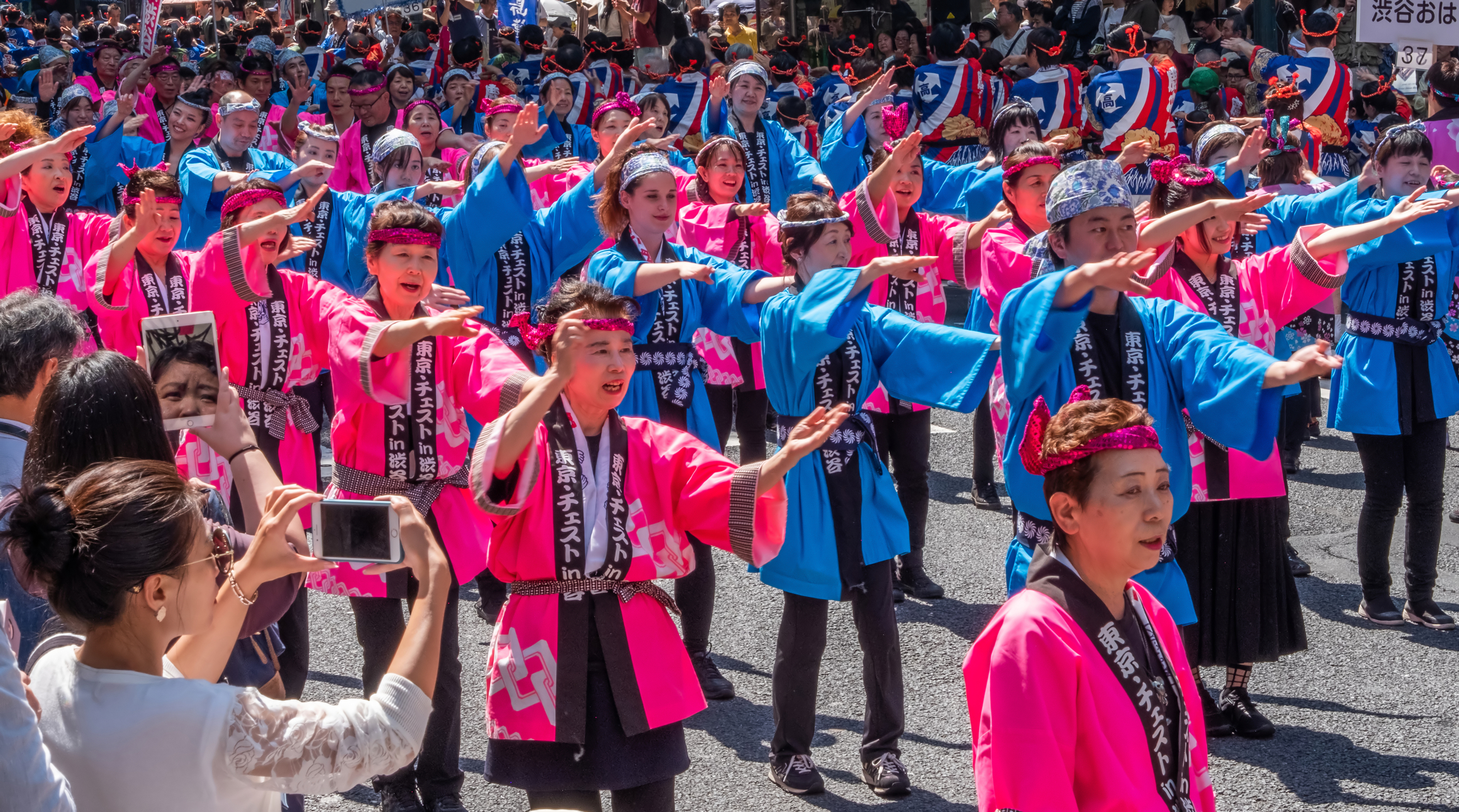 Shibuya's Kagoshima Ohara Matsuri will feature lively