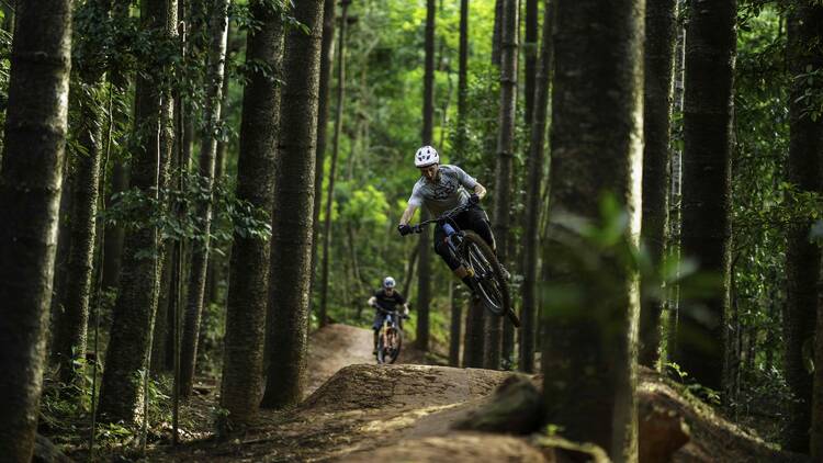 Smithfield Mountain Bike Park Trail, QLD Smithfield Mountain Bike Park Trail, QLD