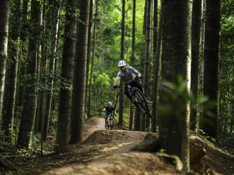 Smithfield Mountain Bike Park Trail, QLD Smithfield Mountain Bike Park Trail, QLD