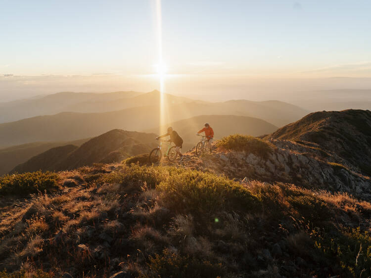 Mountain bikers on Mount Buller