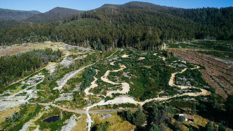 Maydena Bike Park, TAS