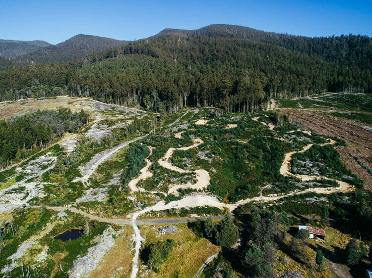 Maydena Bike Park, TAS