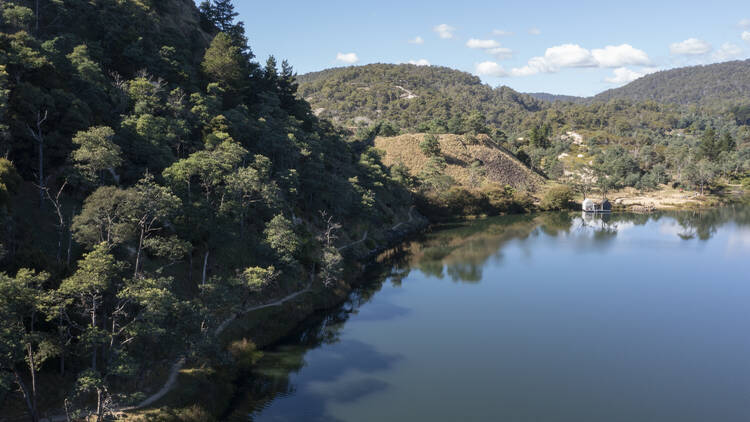 Blue Derby Mountain Bike Trails, TAS