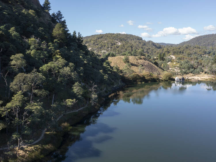 Blue Derby Mountain Bike Trails, TAS