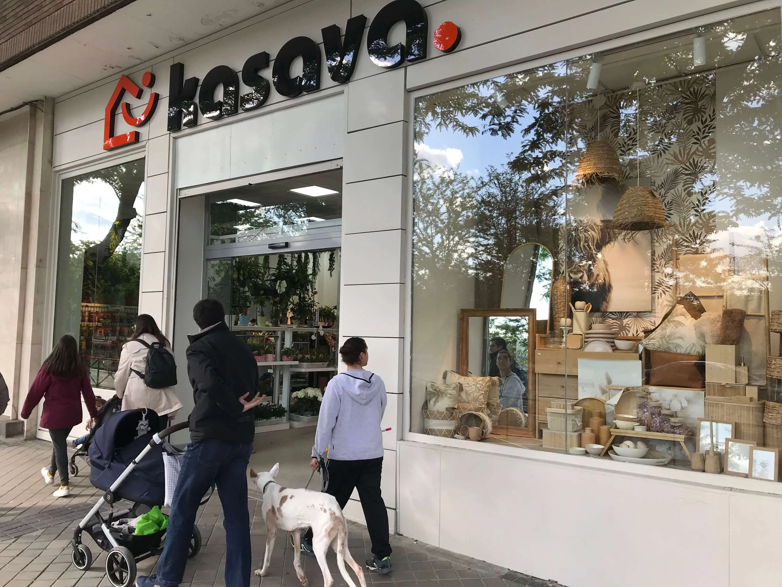 Kasava.