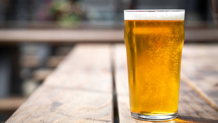 Pint of lager