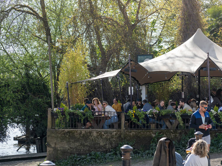The White Swan