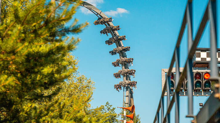 THE SWARM