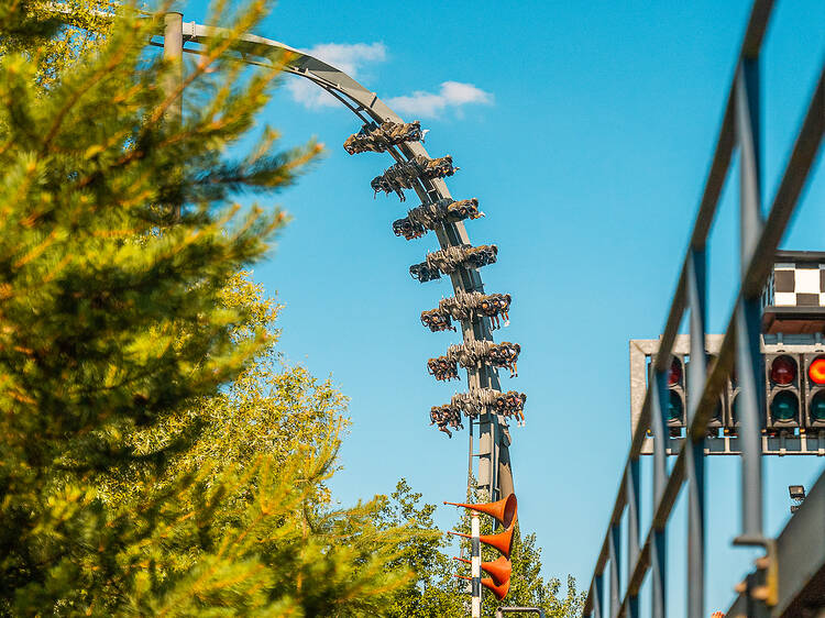 THE SWARM