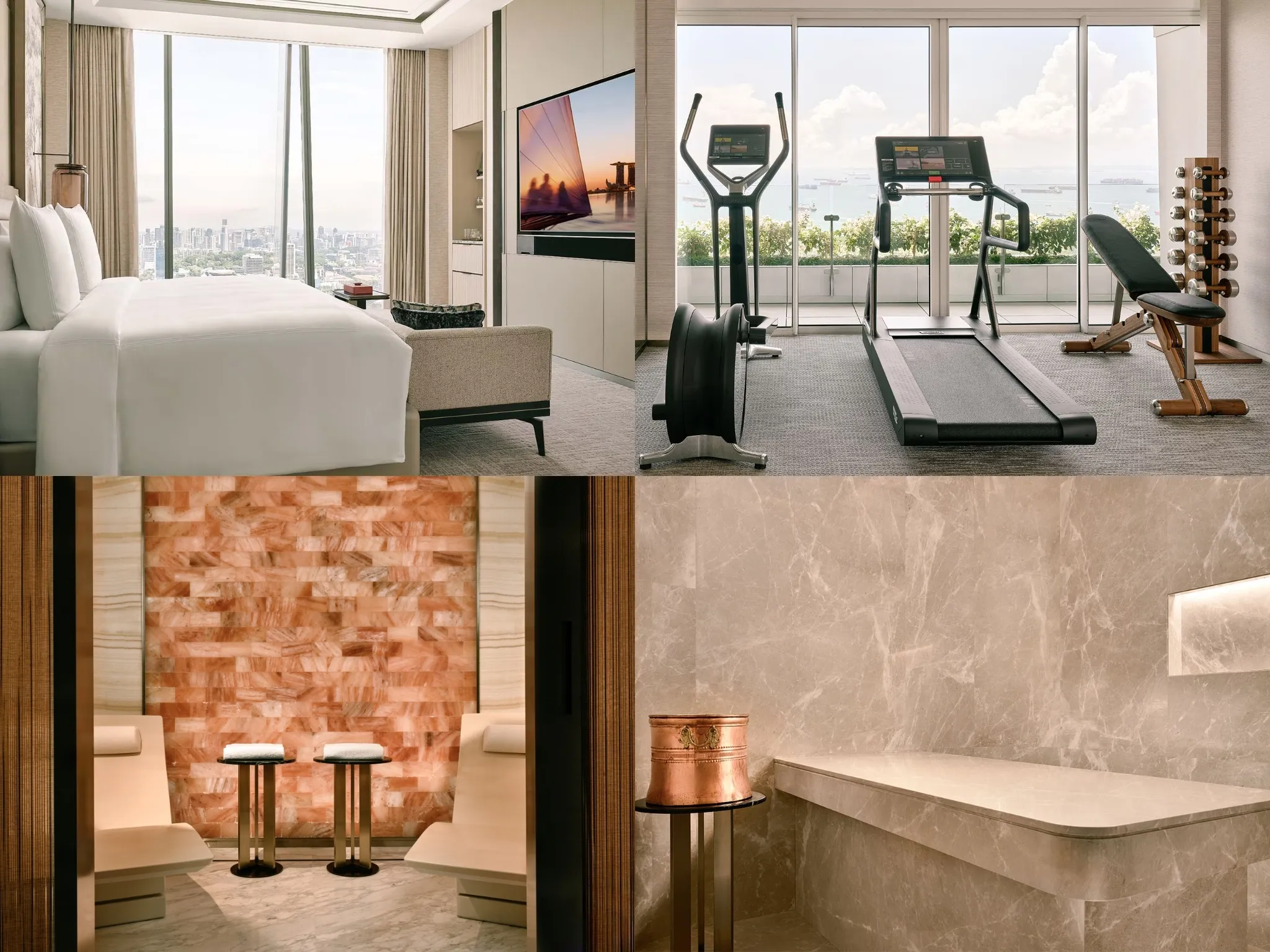 Horizon Suite