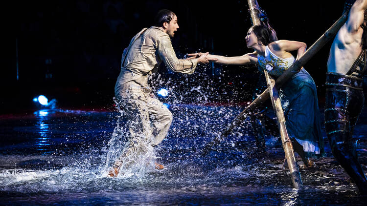 Dive into an epic tale of love and adventure