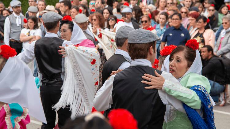 San Isidro 2025 San Isidro 2025