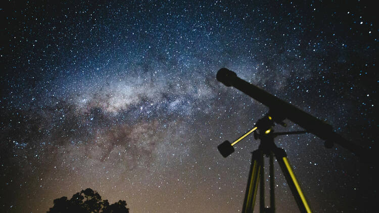 Noche de Estrellas 2025 regresa a la CDMX conoce la temática