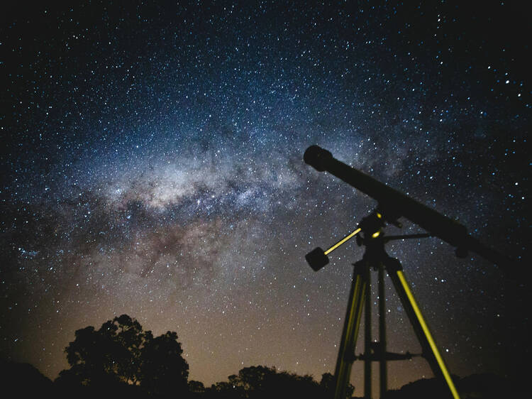 Noche de estrellas 2025