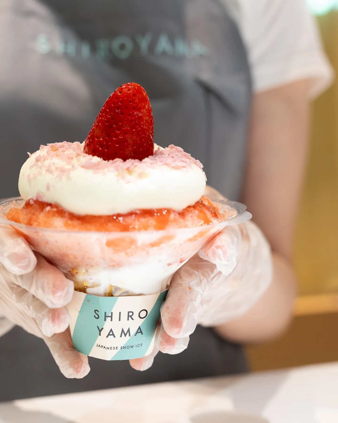 Shiroyama Singapore kakigori Japanese snow ice dessert