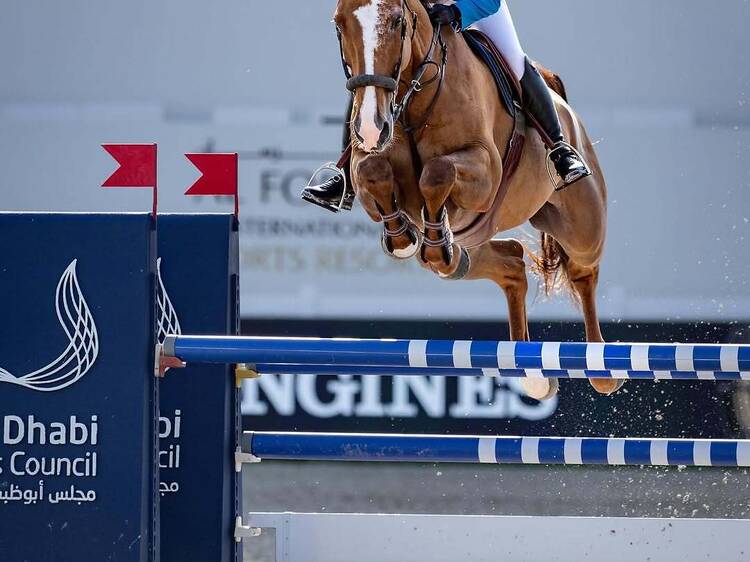 Back in the saddle: Dlite rides toward her next big leap