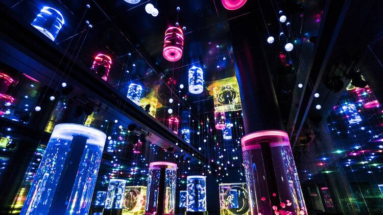 高輪でしかできない6のこと