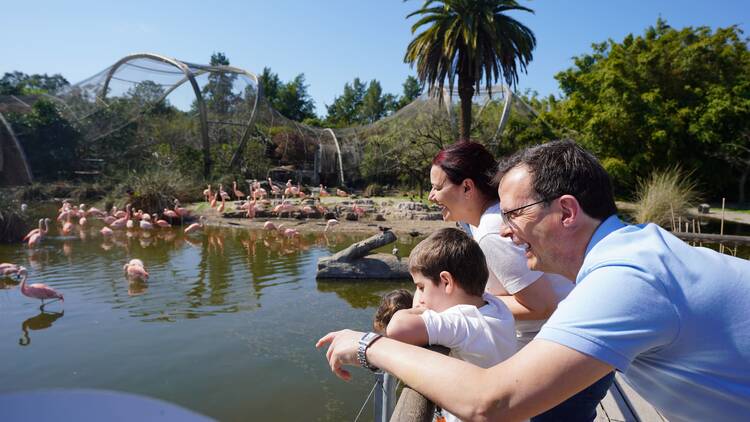 Visit the Largest Aviary in South America