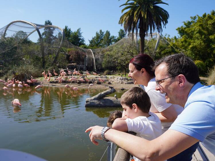 Visit the Largest Aviary in South America