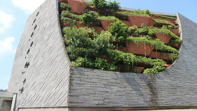 The Lee Kong Chian Natural History Museum 