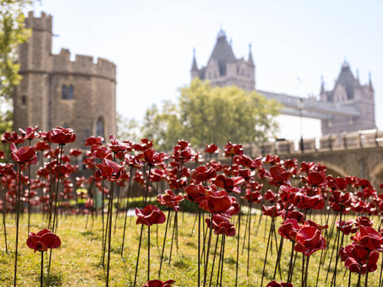 Thousands of ceramic poppies have returned to the Tower of London – here’s how to see them