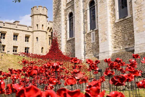 Ceramic poppy display at the Tower of London, 2025