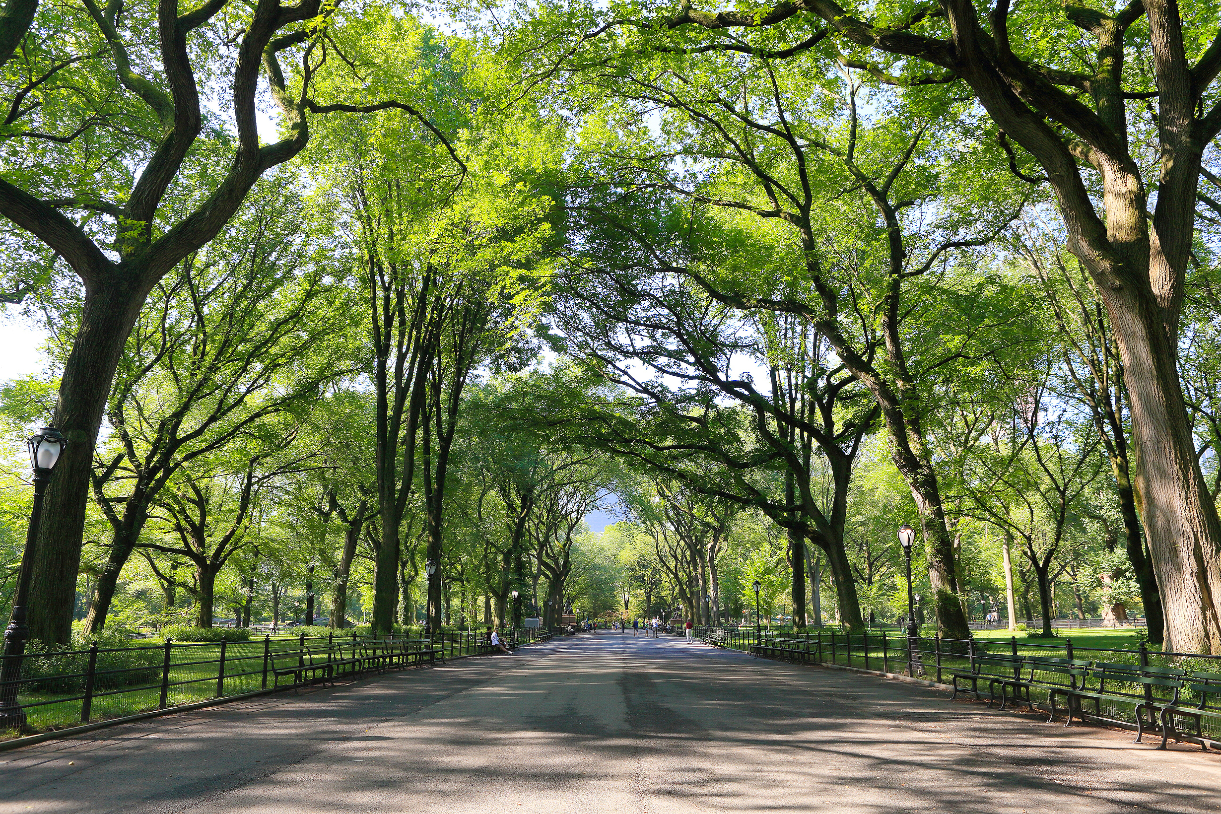 timeout.com - Rossilynne Skena Culgan - These are the best things to do in NYC today, from events to art shows and more