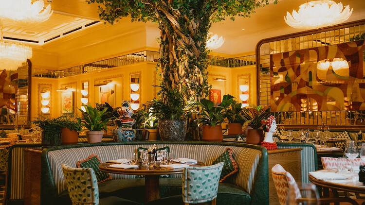 Cicchetti Piccadilly 
