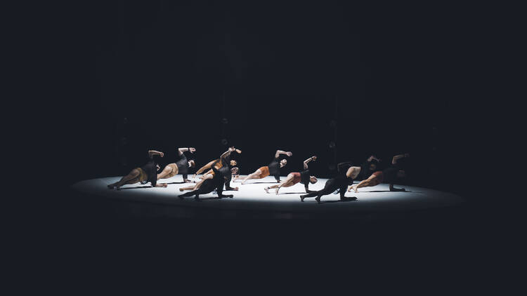 A group of circus performers pose on the ground in perfect unison.