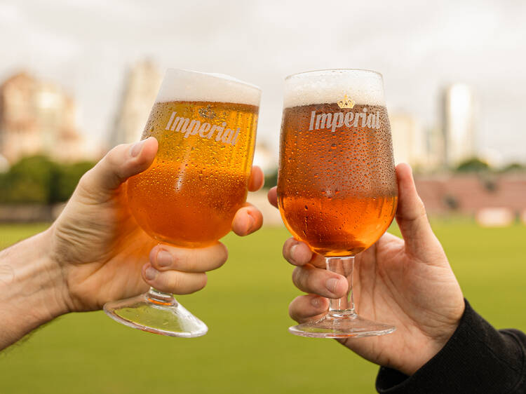 De pinta en pinta: el mapa cervecero que tenés que conocer