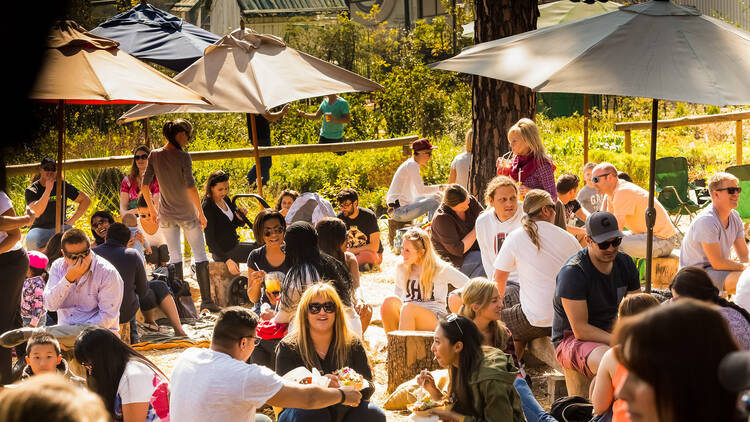 Events: What’s on in Johannesburg