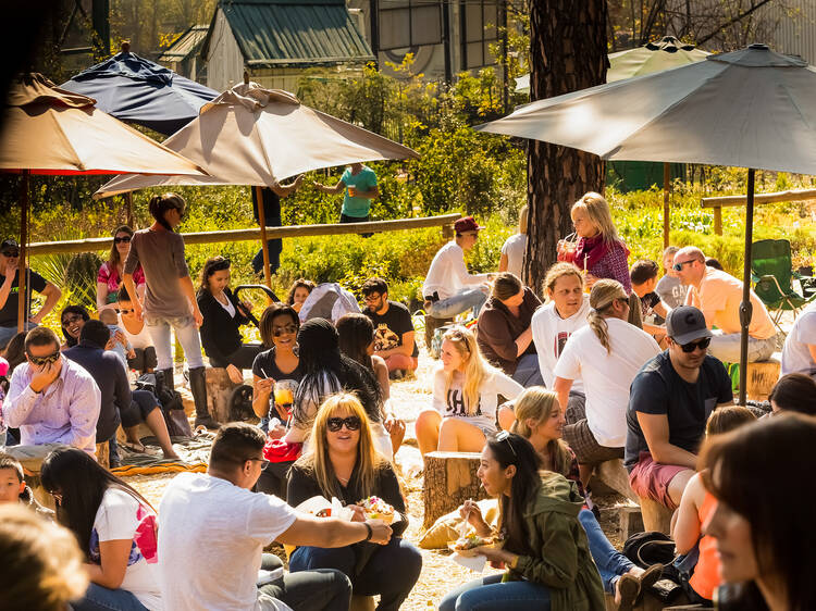 Events: What’s on in Johannesburg