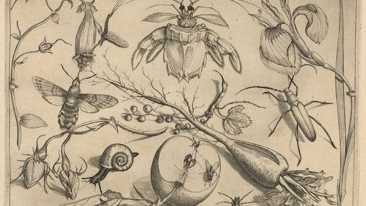 "Little Beasts: Art, Wonder, and the Natural World"