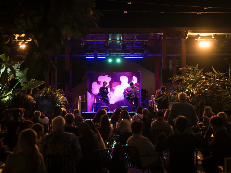 Groove to free live music
