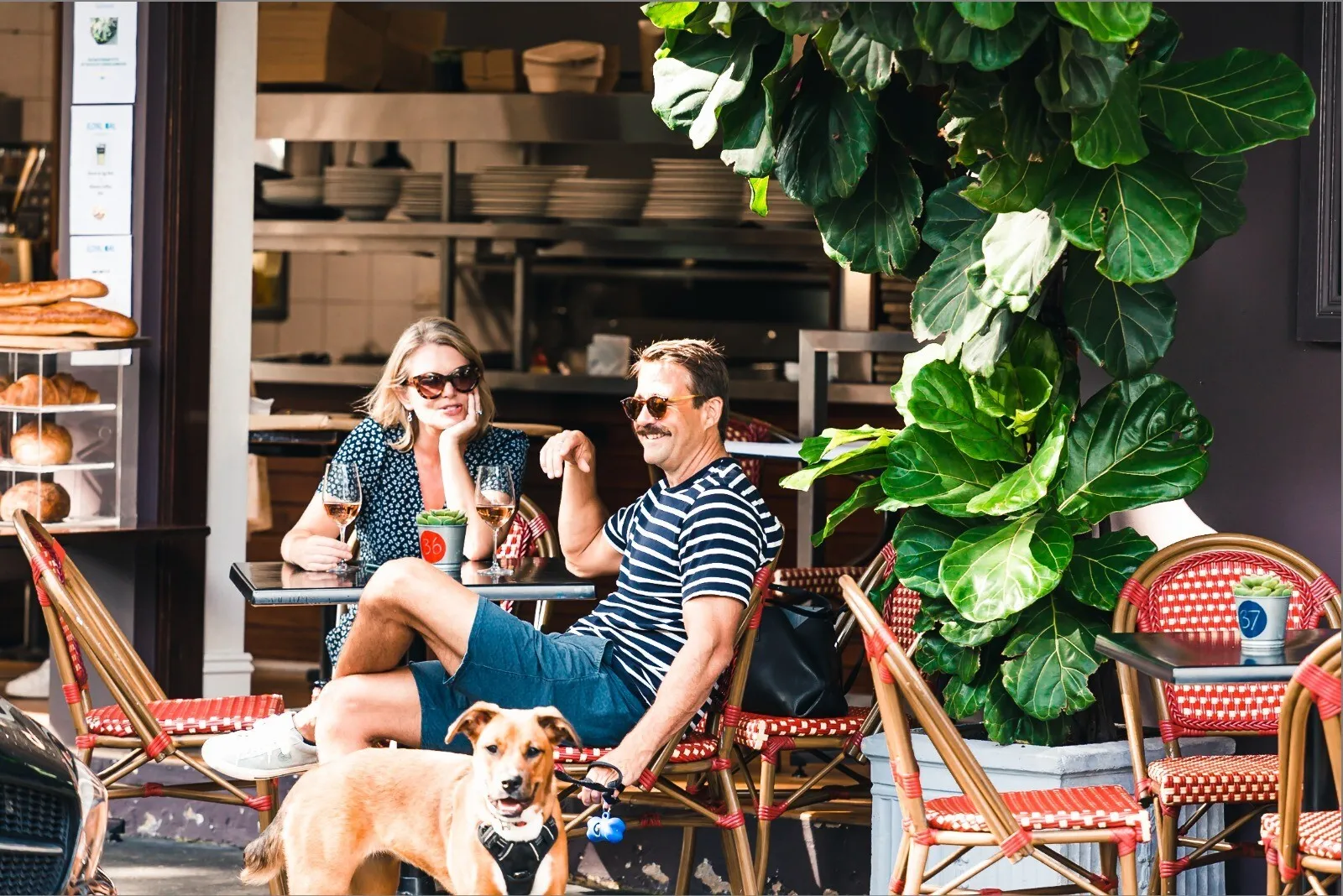Couple and their dog getting a drink at Royal Oak Hotel Balmain
