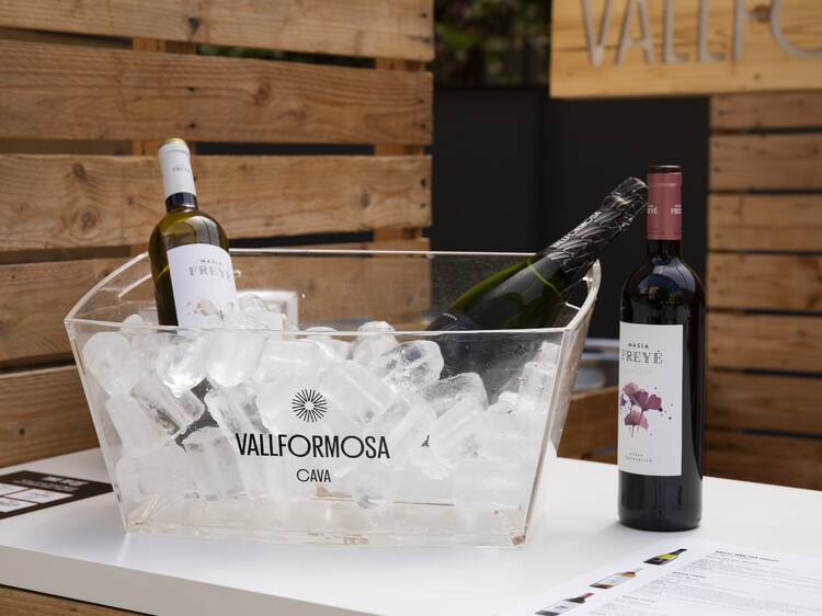 Aquests són els vins i caves que tastarem al Time Out Fest!