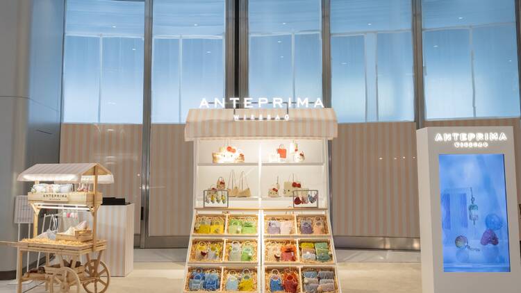 Anteprima Wirebag Summer Market pop-up store