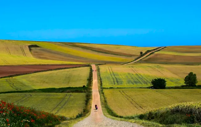 camí de santiago, caminar