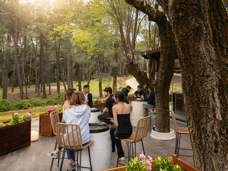 En un bosque y cerca de un embalse, con arroces y mucha brasa: así es el nuevo restaurante kidsfriendly en la sierra de Guadarrama para compartir con amigos