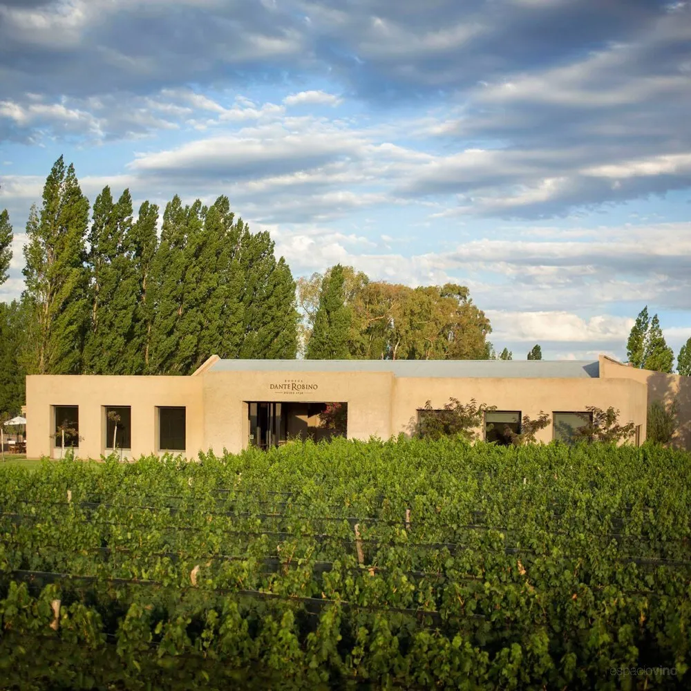 bodega-dante-robino