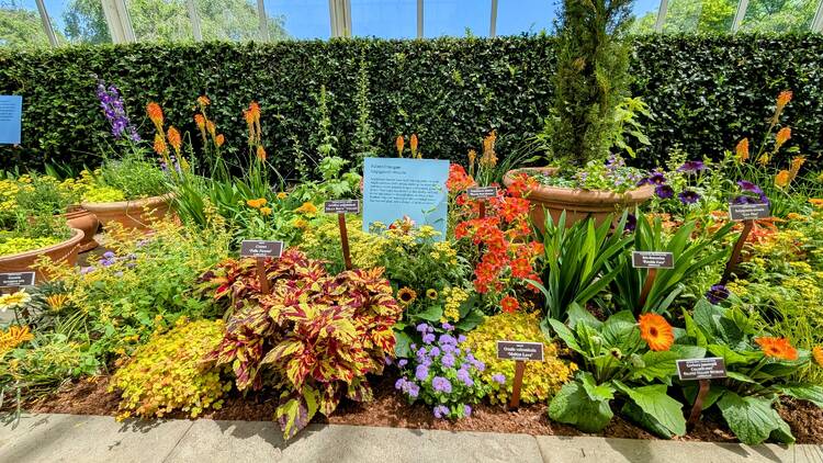 new york botanical garden van gogh show