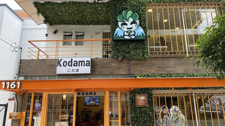 Kodama