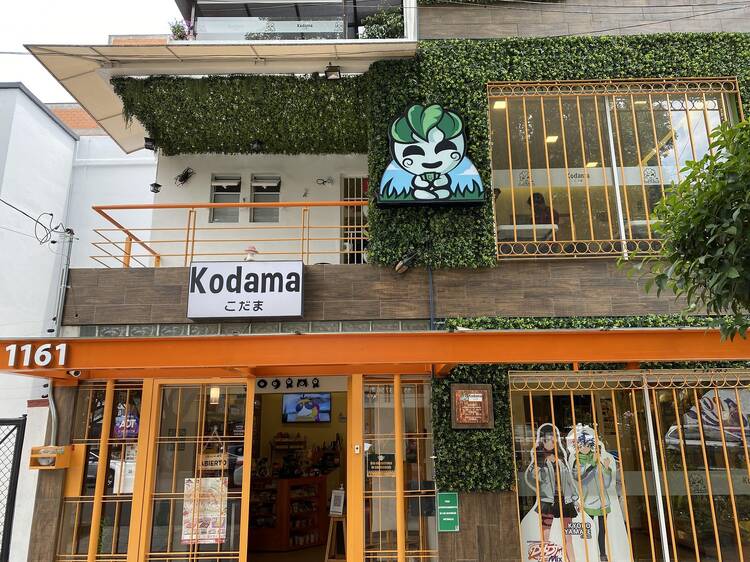 Kodama