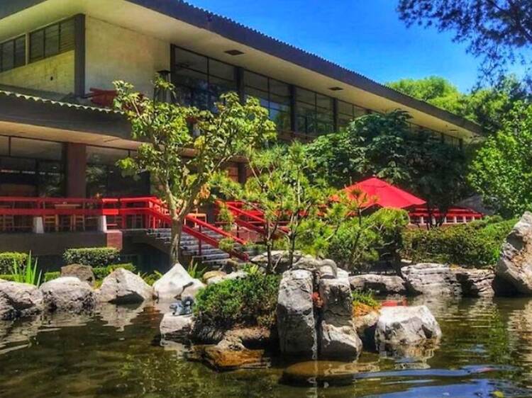 Asociación México Japonesa