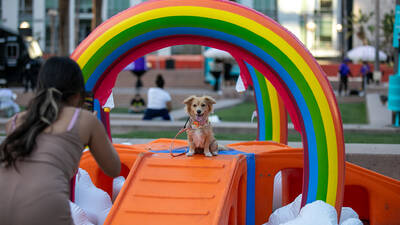 DTLA Dog Day A woman takes a photo of her dog under a rainbow photo op.