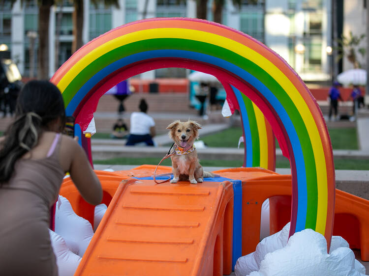 DTLA Dog Day