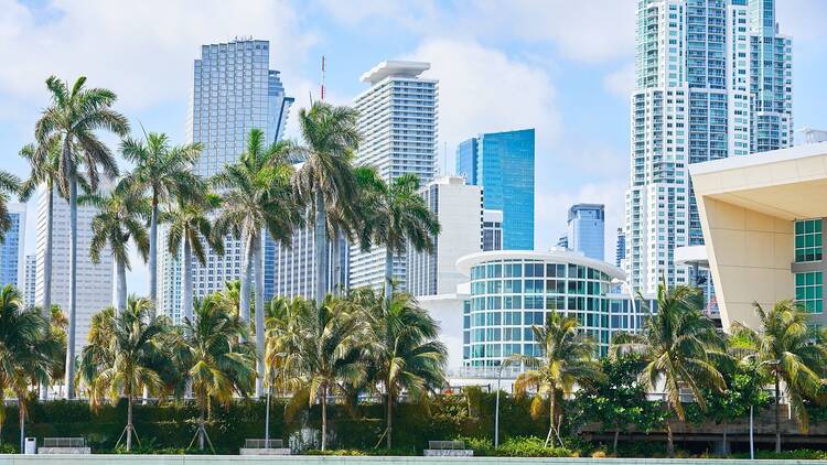 Miami skyline
