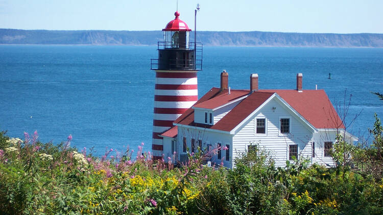 Quoddy Head State Park, Maine