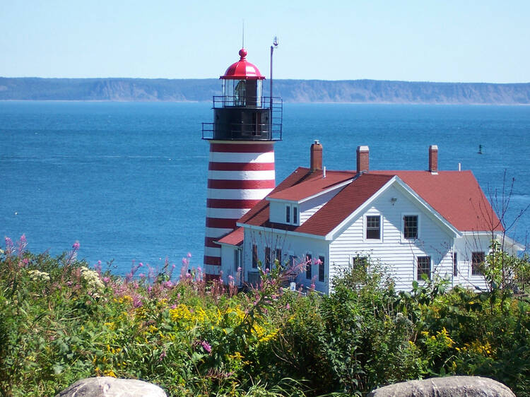 Quoddy Head State Park, Maine