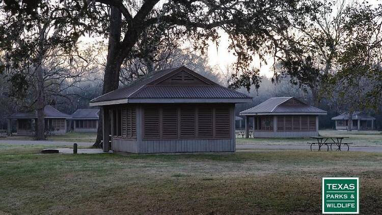 Brazos Bend State Park, Texas
